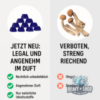 Tryp Magic Mushroom Gummies