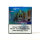 Fumot | RandM Tornado Pod | Blaubeere | 20mg/ml