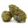 HeavyBuds | Hanfblüte | Jack Herer